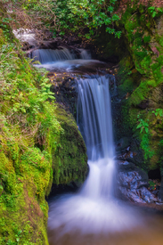 Geroldsauer Wasserfall - Schwarzwald/12923417