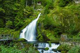 Triberger Wasserfälle - Schwarzwald/12923858