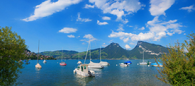 Thunersee mit Segelbooten Blick zum Niederhorn/12923968