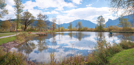 Biotop in der Moorlandschaft Unterammergau/12923972