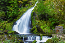 Triberger Wasserfälle - Schwarzwald/12924139