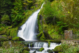 Triberger Wasserfälle - Schwarzwald/12924141