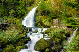 Triberger Wasserfälle - Schwarzwald/12924143