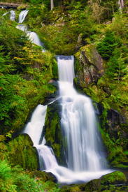 Triberger Wasserfälle - Schwarzwald/12924145