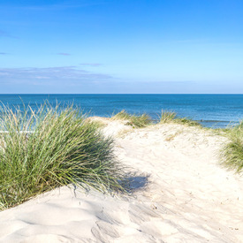 Sommertag am Meer/12924260