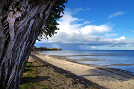 Strandblick/12924544