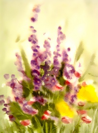 summerfeeling/12924749