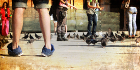 Auf Augenhöhe/12924953