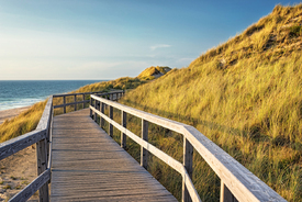 Auf dem Holzweg/12925189