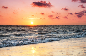 Sylter Welle/12925220