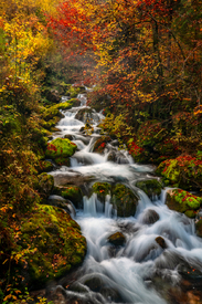 Herbst in Slowenien/12925278