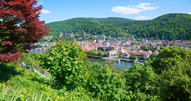Aussicht Philosophenweg auf Altstadt Heidelberg/12926446