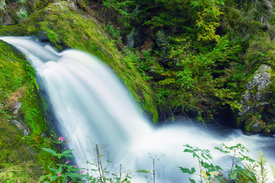 Triberger Wasserfälle - Schwarzwald/12926574