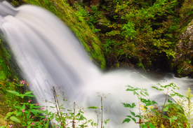 Triberger Wasserfälle - Schwarzwald/12926575