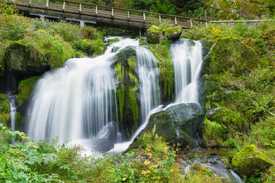 Triberger Wasserfälle - Schwarzwald/12926577