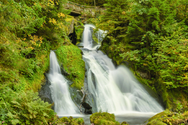 Triberger Wasserfälle - Schwarzwald/12926580