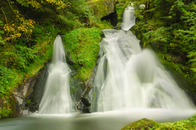 Triberger Wasserfälle - Schwarzwald/12926582