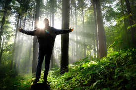 Mann umarmt majestätische Sonnenstrahlen im Wlad/12926629