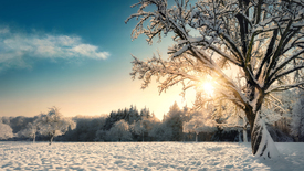 Winterwunderlandlandschaft im goldenem Sonnenlicht/12926631