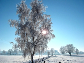 Winter mit Licht und Sonne/12927306