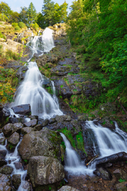 Todtnauer Wasserfall - Schwarzwald/12928831