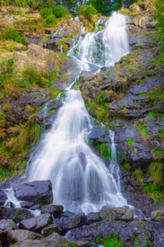 Todtnauer Wasserfall - Schwarzwald/12928842