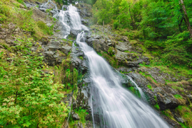 Todtnauer Wasserfall - Schwarzwald/12928847