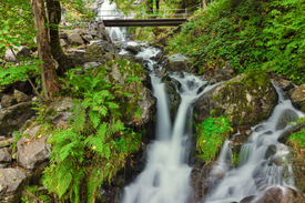 Todtnauer Wasserfall - Schwarzwald/12929435