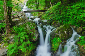 Todtnauer Wasserfall - Schwarzwald/12929437