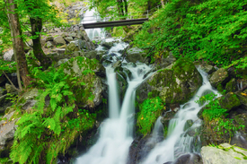 Todtnauer Wasserfall - Schwarzwald/12929438