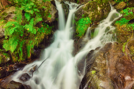 Todtnauer Wasserfall - Schwarzwald/12929440