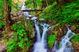 Todtnauer Wasserfall - Schwarzwald/12930237