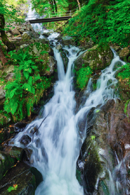 Todtnauer Wasserfall - Schwarzwald/12930242