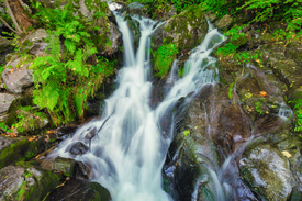 Todtnauer Wasserfall - Schwarzwald/12930243