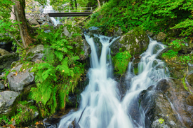 Todtnauer Wasserfall - Schwarzwald/12930245