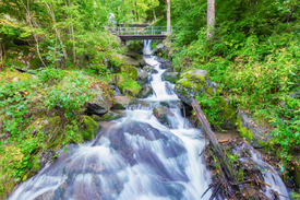 Todtnauer Wasserfall - Schwarzwald/12930246