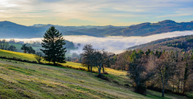 Mostviertel/12930274