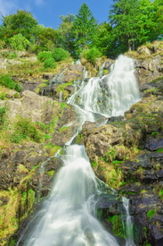 Todtnauer Wasserfall - Schwarzwald/12931228