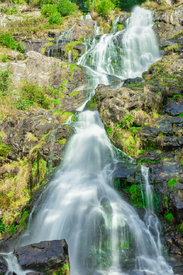 Todtnauer Wasserfall - Schwarzwald/12931229