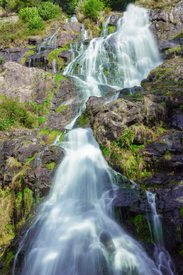 Todtnauer Wasserfall - Schwarzwald/12931230
