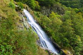Todtnauer Wasserfall - Schwarzwald/12931233