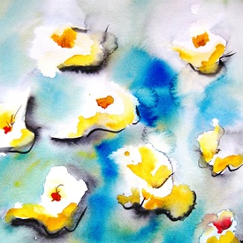 Wasserlilien/12931363