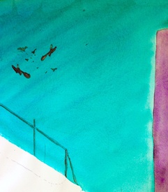 sie kreisen übe drir/12931366