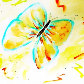 Schmetterling/12931368