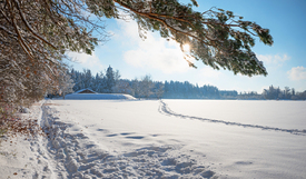 Winterpfad am Waldrand/12940942