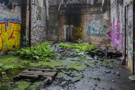 The pink panther/12941050