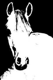 Schimmel Portrait mixed media/12941055