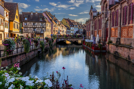 Quai de la Poissonnerie in Colmar/12941075