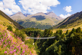 Hängebrücke bei Vent im Ötztal - Tirol/12948074