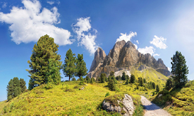 Peitlerkofel/12949617